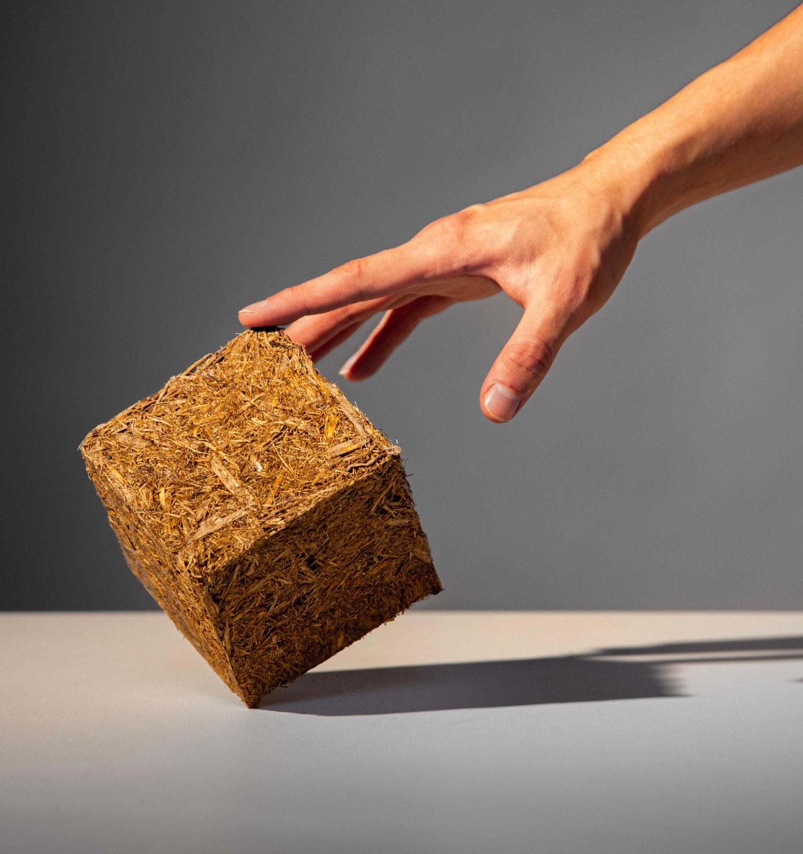 Bagasse Acoustic Panel Research project image